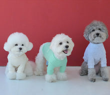 画像をギャラリービューアに読み込む, DOG lovers trainer baby mint