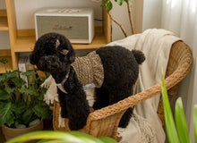 画像をギャラリービューアに読み込む, レオパードキャミソール brown