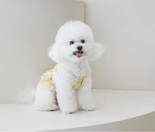 画像をギャラリービューアに読み込む, フラワーフリルシャツ yellow