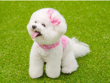 画像をギャラリービューアに読み込む, バンダナペイズリーリボン