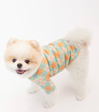 画像をギャラリービューアに読み込む, チェックカラートップス Orange