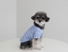 画像をギャラリービューアに読み込む, ペイズリーシャツ sky