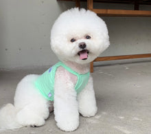 画像をギャラリービューアに読み込む, ネオンキャミソール mint