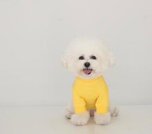 画像をギャラリービューアに読み込む, vacation tops yellow