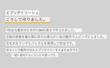 画像をギャラリービューアに読み込む, everyday lead