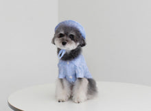 画像をギャラリービューアに読み込む, ペイズリーシャツ sky