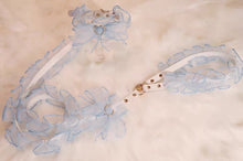 画像をギャラリービューアに読み込む, ハーネスorカラー ドットチュール リードセット Blue