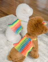 画像をギャラリービューアに読み込む, レインボーキャンディクロップトップス