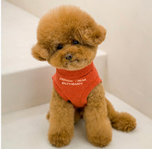 画像をギャラリービューアに読み込む, メッセージタートルニット bric