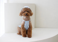 画像をギャラリービューアに読み込む, フラワーフリルシャツ Blue