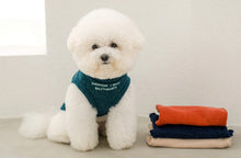 画像をギャラリービューアに読み込む, メッセージタートルニット green