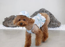 画像をギャラリービューアに読み込む, フラワーハット Blue