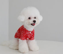 画像をギャラリービューアに読み込む, ペイズリーシャツ red