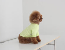 画像をギャラリービューアに読み込む, vacation tops lime