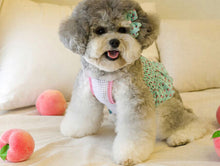 画像をギャラリービューアに読み込む, ピーチクロップキャミソール mint