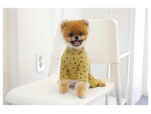 画像をギャラリービューアに読み込む, dot all-in-one mustard