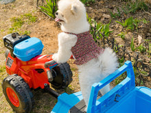 画像をギャラリービューアに読み込む, フラワーキャミソール red