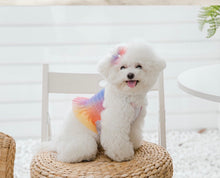 画像をギャラリービューアに読み込む, レインボーキャンディクロップトップス