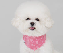 画像をギャラリービューアに読み込む, ペイズリーバンダナ