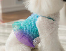 画像をギャラリービューアに読み込む, レインボーキャンディクロップトップス