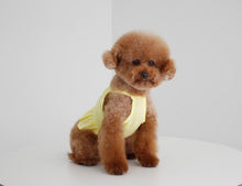 画像をギャラリービューアに読み込む, ペイズリーフリルシャツ yellow