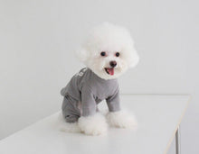 画像をギャラリービューアに読み込む, EUROPE tops BERLN