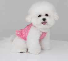 画像をギャラリービューアに読み込む, ペイズリーフリルシャツ pink