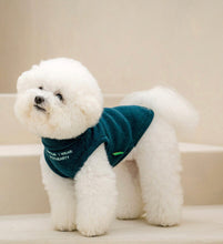 画像をギャラリービューアに読み込む, メッセージタートルニット green