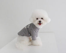 画像をギャラリービューアに読み込む, EUROPE tops BERLN