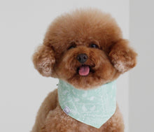 画像をギャラリービューアに読み込む, ペイズリーバンダナ