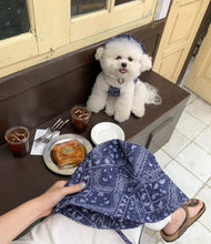 画像をギャラリービューアに読み込む, ペイズリーハット 大人用 8色