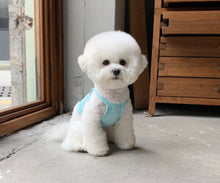 画像をギャラリービューアに読み込む, ネオンキャミソール Blue