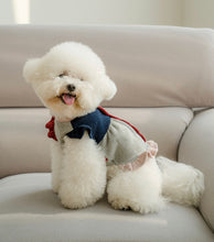 画像をギャラリービューアに読み込む, ピクニックニット vivid