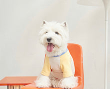 画像をギャラリービューアに読み込む, パッチワークパステルTシャツ yellow