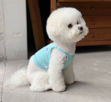 画像をギャラリービューアに読み込む, ネオンキャミソール Blue