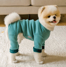 画像をギャラリービューアに読み込む, アームファーロンパース green