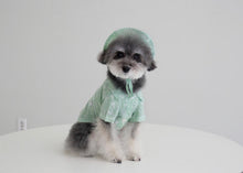 画像をギャラリービューアに読み込む, ペイズリーシャツ mint