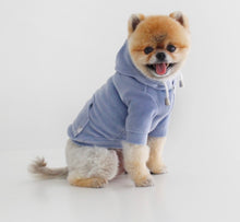 画像をギャラリービューアに読み込む, 予約 tropical velours hoodie AUTUMN BLUE