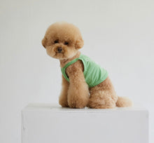 画像をギャラリービューアに読み込む, 恐竜キャミソール帽子セット green