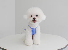 画像をギャラリービューアに読み込む, ペイズリーフリルシャツ Blue