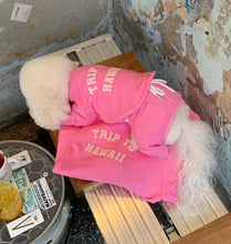 画像をギャラリービューアに読み込む, triptrainer adult