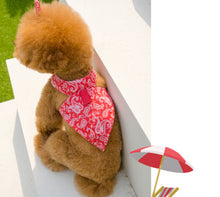 画像をギャラリービューアに読み込む, バンダナペイズリートップス red