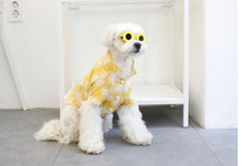 画像をギャラリービューアに読み込む, フラワーサングラス 6color