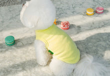 画像をギャラリービューアに読み込む, new メッセージタートルニット yellow