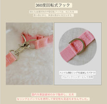 画像をギャラリービューアに読み込む, everyday lead