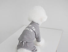 画像をギャラリービューアに読み込む, EUROPE tops BERLN