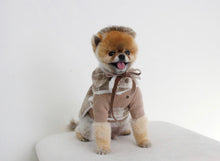 画像をギャラリービューアに読み込む, ベレー帽 moca