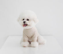 画像をギャラリービューアに読み込む, EUROPE tops ROME