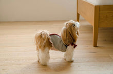 画像をギャラリービューアに読み込む, ピクニックニット vivid