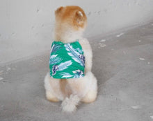 画像をギャラリービューアに読み込む, ボタニカルキャミソール green